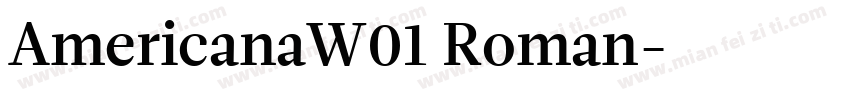 AmericanaW01 Roman字体转换